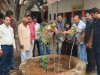 शिक्षा विभाग के सहयोग से पहला कदम फाउंडेशन ने चलाया पौधा रोपण अभियान 