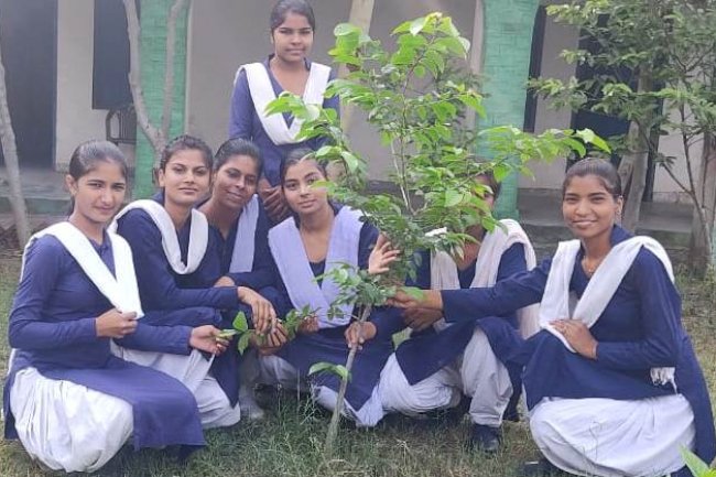 गाइड विंग, पीटी उषा ओपन ग्रुप ने किया पौधा रोपण 