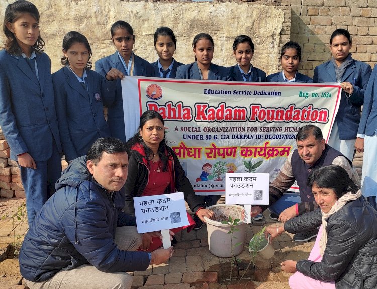 पौधरोपण कार्यक्रम के तहत लगाए गए फलदार व औषधि पौधे