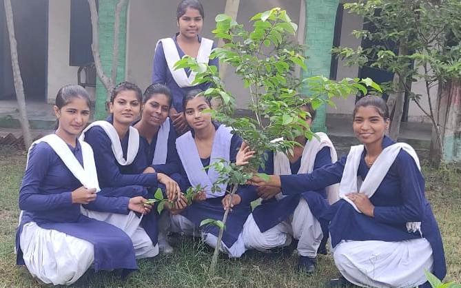 गाइड विंग, पीटी उषा ओपन ग्रुप ने किया पौधा रोपण 